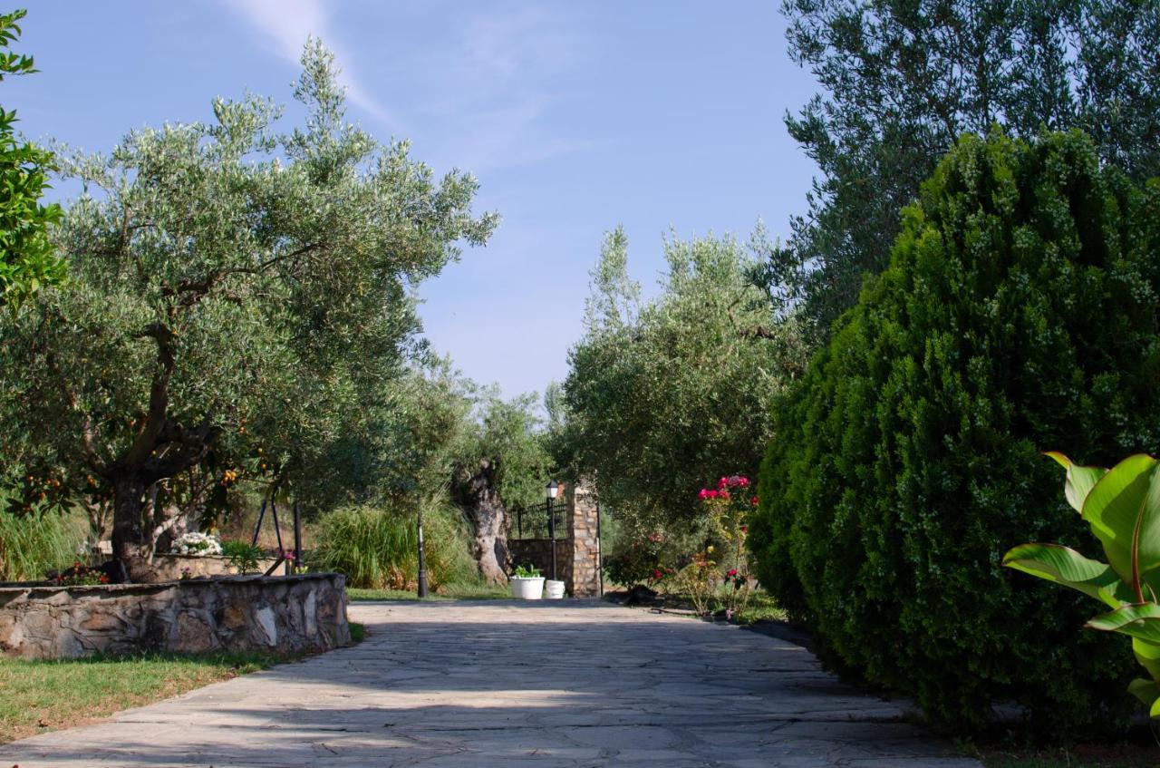 فندق Makis House نيكيتي المظهر الخارجي الصورة