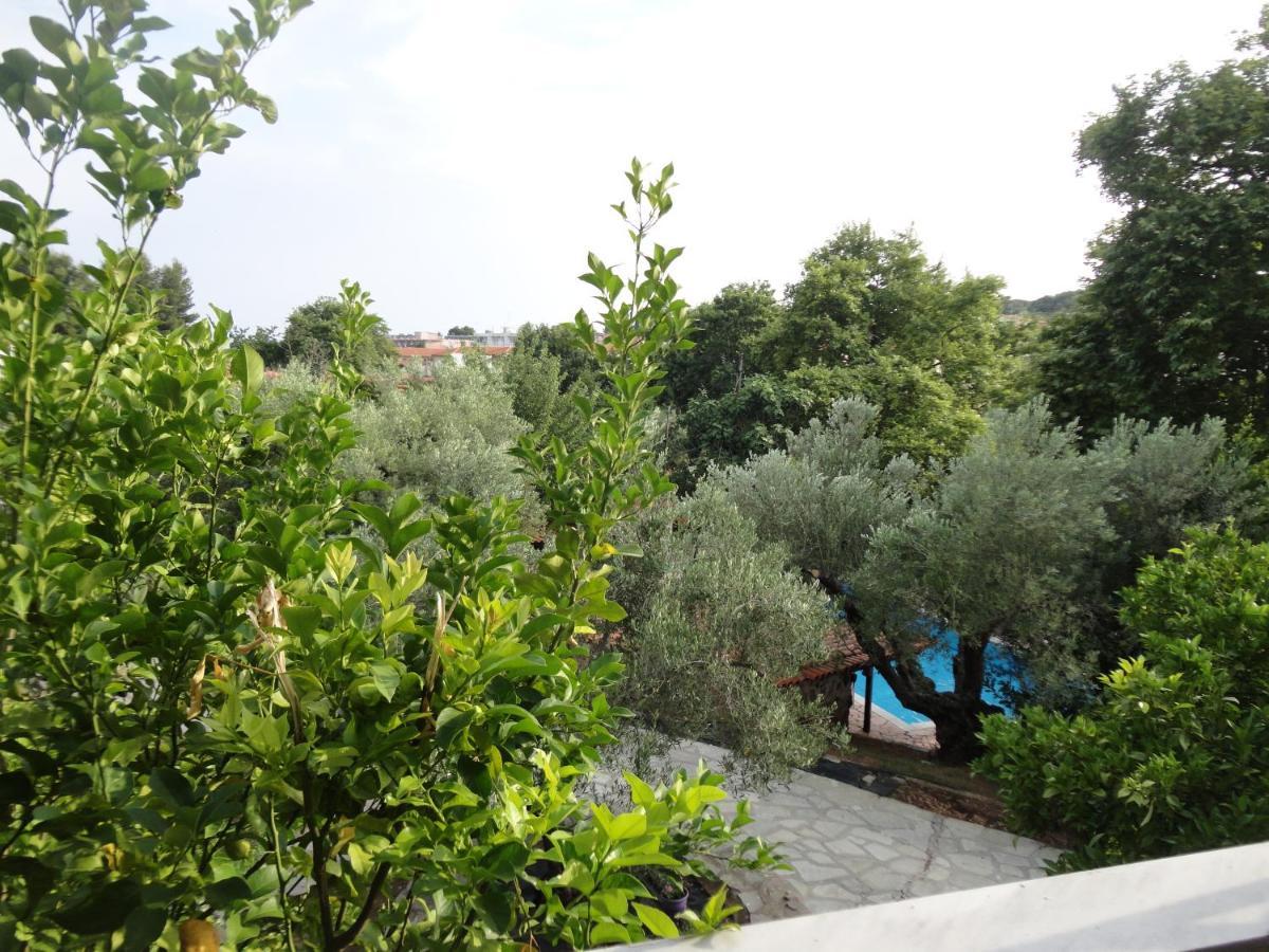 فندق Makis House نيكيتي المظهر الخارجي الصورة